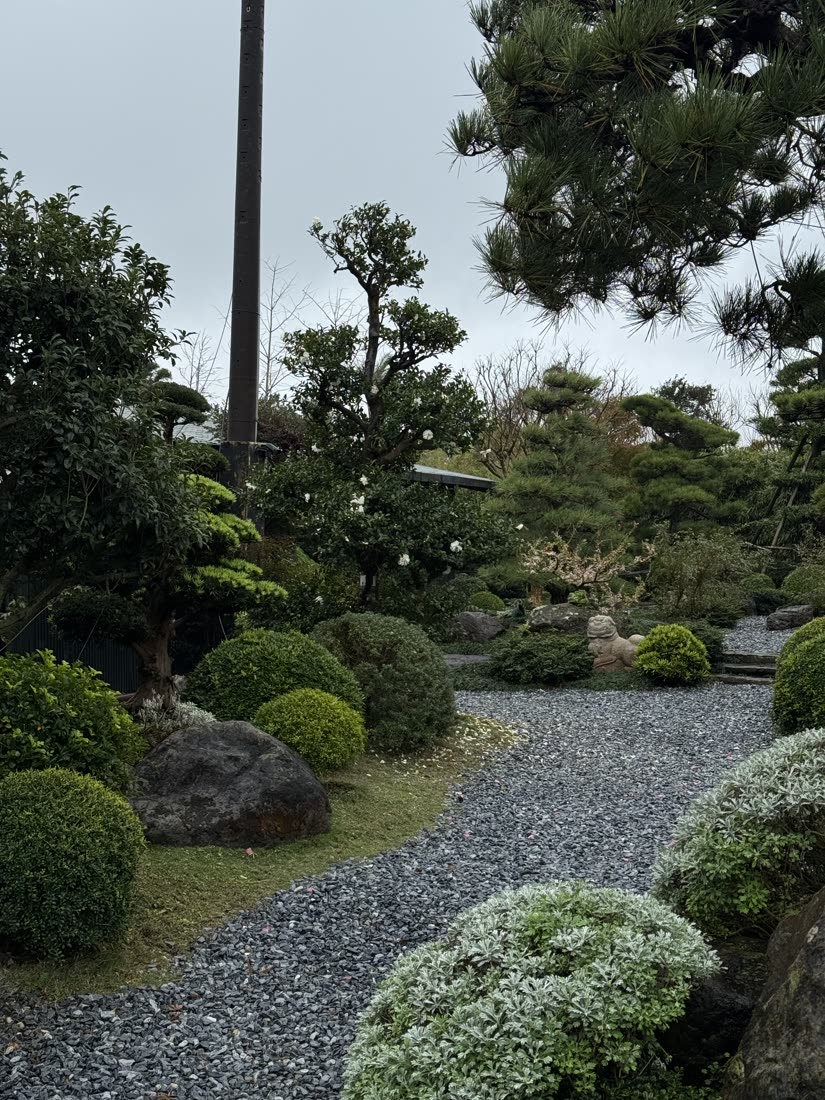 雨後的日式庭院，碎石步道與修剪整齊的松樹與灌木